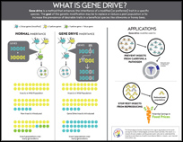 What is Gene Drive?