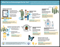 What Can an Entomologist Do for You?