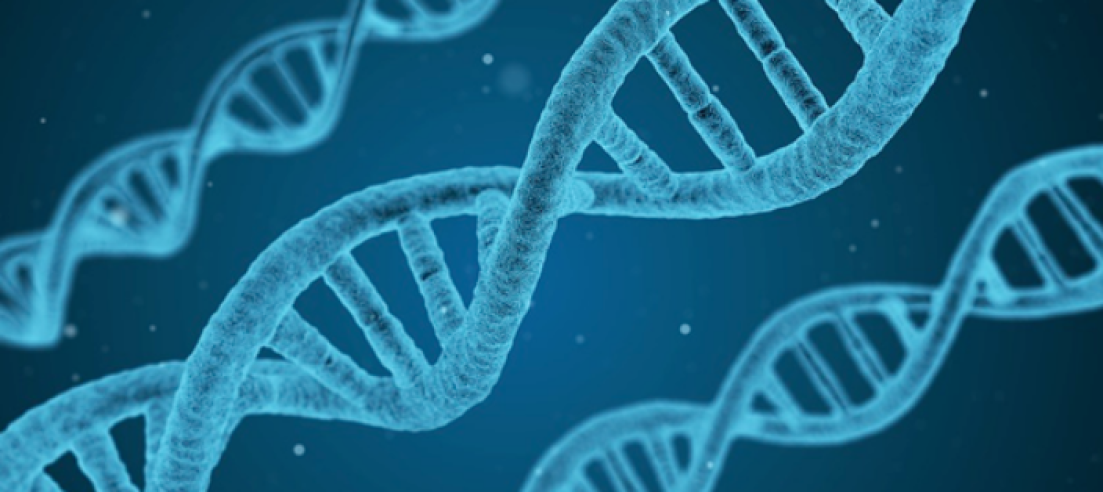 Physiology, Biochemistry, & Toxicology (PBT)