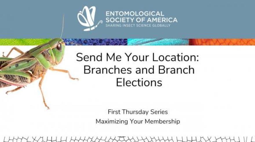 Branch and Branch Elections