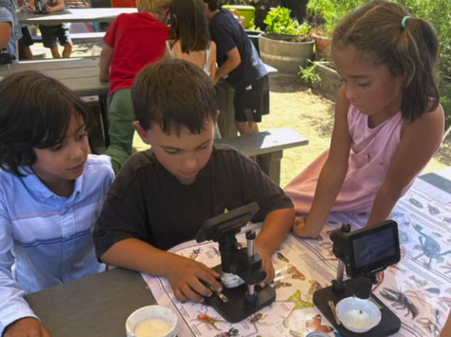 Children at NeilCumminsElementary looking at insects