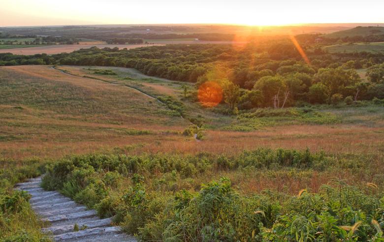 Konza Prairie