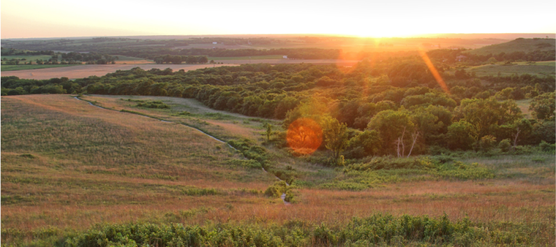 Konza Prairie