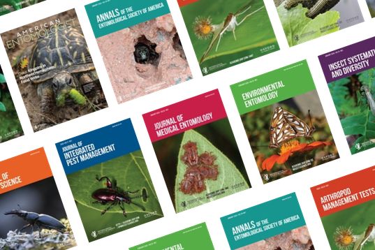 journal covers in row