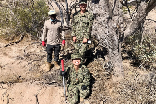 arimoto-morawo-tedrow-vector-surveillance